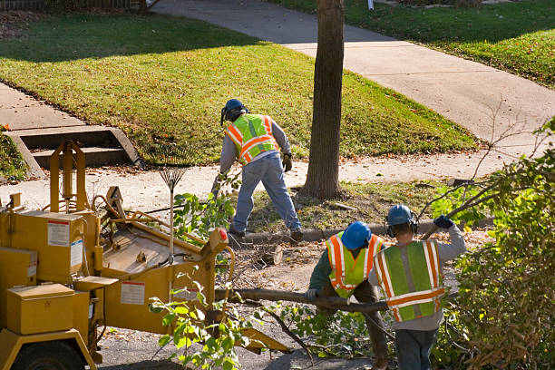 Best Weed Control  in Philadelphia, PA